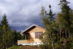 What Makes a Luxury Tiny House in New Zealand Worth the Investment What Makes a Luxury Tiny House in New Zealand Worth the Investment